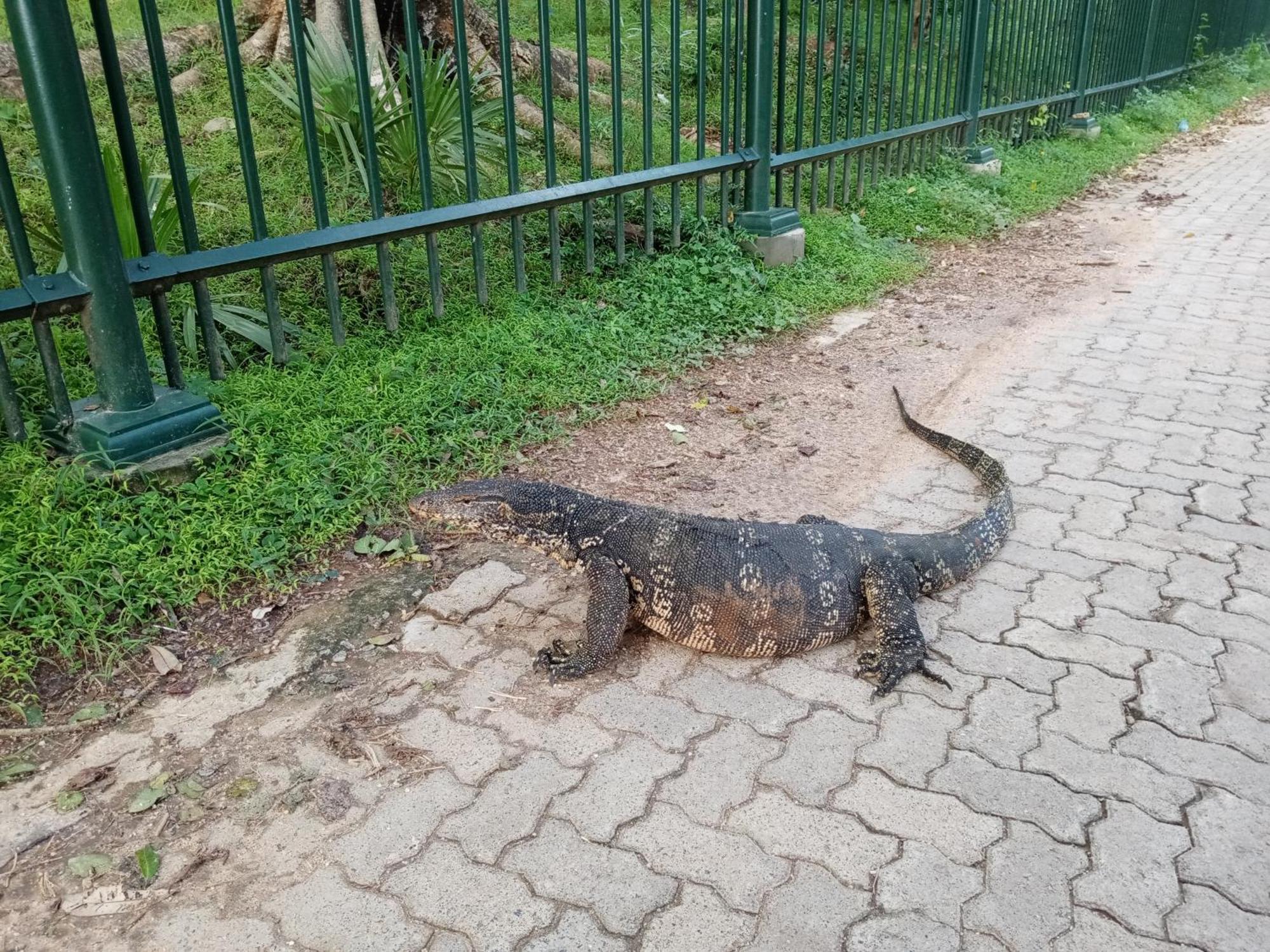 Priyanna Guest, Forest View Polonnaruwa Rum bild