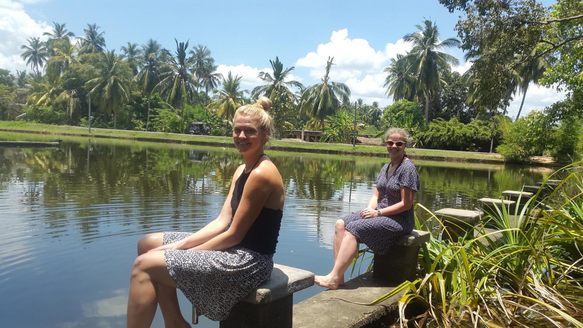 Priyanna Guest, Forest View Polonnaruwa Exteriör bild